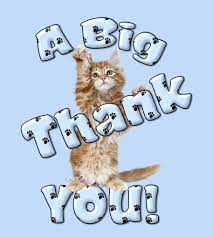 Cat Quotes Saying Thank You Google Search Thank You Pictures Thank You Gifs Thank You Greetings