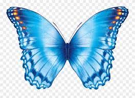 Find gifs with the latest and newest hashtags! Butterfly Flying Gif Butterfly Effect Transparent Background Clipart 1257864 Pinclipart
