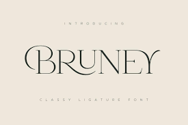 A font is the combination of typeface, size, weight, slope, and style to make up a printable or displayable set of characters. Bruney Classy Ligature Font Dfonts