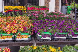 Never mail anything important from us post office!!! Santa Maria California Usa February 22 2020 Garden Center Stock Photo Picture And Royalty Free Image Image 141002885