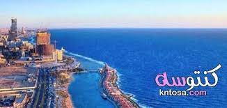 معلومات عن البحر الأحمر2020 اغرب معلومات عن البحر الأحمر outdoor coastline water