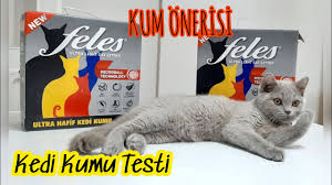 Kedi Kumu Testi En Iyi Topaklanan Kum Feles Kedi Kumu Kum Onerisi Youtube