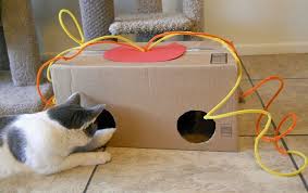 Aus Einem Leeren Karton Und Papierseil Tolles Spielzeug Fur Ihre Katze Gestalten Katzenspielzeug Selber Basteln Katzen Spielzeug Katzenspielzeug