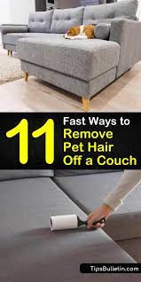 How to clean dog hair off floors. 11 Fast Ways To Remove Pet Hair Off A Couch