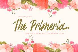The Primeria Font by AMJ Studio · Creative Fabrica
