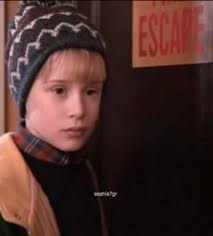 Merry Christmas🎄🎅 from my dawgs!