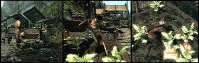 Everyone enjoys watching a seed they planted sprout and begin to grow. Leaf Rest At Skyrim Nexus Mods And Community