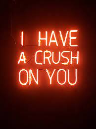 4.0 out of 5 stars 3,076. Why Having A Crush Is Good For You By Sarah Griffiths Forge