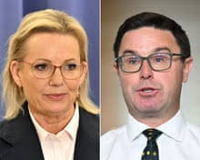 From punk rocker to tax policy expert: who is Sussan Ley, Australia's first  female opposition leader?