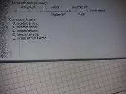 Se Da Schema De Reactii Brainly Ro