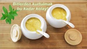 Bit Nasil Temizlenir Mayonez Ve Nane Yagi Favorite Recipes Recipes Delicious