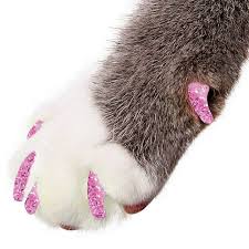 Maybe you would like to learn more about one of these? Buy Purrdy Paws Soft Cat Nail Caps Pink Glitter Medium 20 Count At Chewy Com Free Shipping And The Best Customer Service Cat Nail Caps Nail Caps Cat Nails