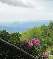 The swag inn waynesville sihtnumber 28785. The Swag Updated 2021 Prices B B Reviews Waynesville Nc Tripadvisor