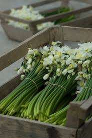 What flowers bloom in spring uk. What S In Season The British Flower Collective