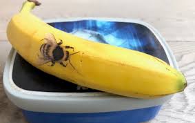 bwat zie je er goed uit vandaag! … 1 april!!/b. Blog 1 April 10 Grappen Om Kids Of Ouders Voor De Gek Te Houden Kidsproof Rotterdam