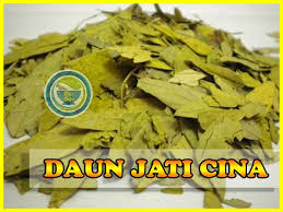 We did not find results for: Cara Minum Teh Daun Jati Cina Untuk Diet Pelangsing Alami