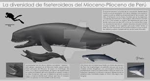 Diversity Of Physeteroids Of Peru Prehistoric Wildlife Prehistoric Animals Prehistoric Creatures