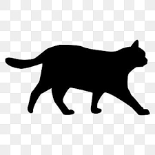 Silueta De Gato Png Gato Png Silueta De Gato Png Y Vector Para Descargar Gratis Pngtree Cat Silhouette Black Cat Silhouette Cat Outline