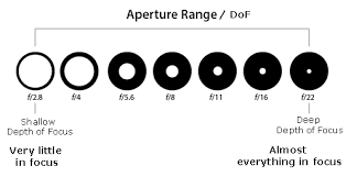 Are You On Aperture Priority Rahul Sachdev Photography