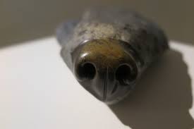 Kaufbeurer Künstlerstiftung . 2019 I. Maria Rucker