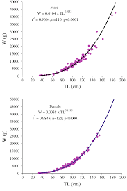 Length Weight Relationship Of The European Catfish Caught At