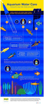 Tetra Caring For Your Fish Inside And Out Fresh Water Fish Tank Betta Fish Care Tropical Fish Tanks