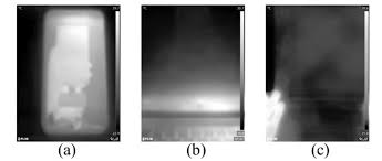 Discover Wenwen Han's Mature Content - Totally Exposed