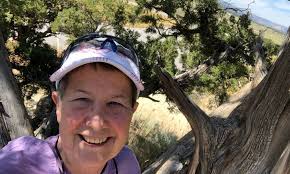 Meet Donna Sylvester of Key Point Connections in Aurora