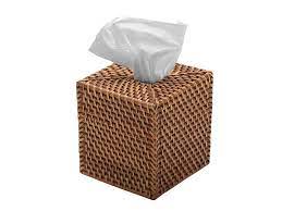 Holly rectangular rattan tissue box cover beachcrest home color: Kouboo Laguna Handwoven Square Rattan Tissue Box Cover Honey Brown 1030017 Tissue Holders Home Kitchen Stanoc Com