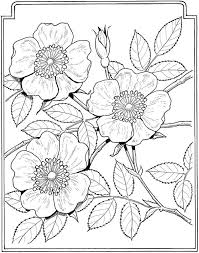 Most require a leather needle for. Top Free Printable Leather Tooling Patterns Jimmy Website