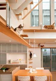 30 Ideen Fur Eine Katzen Kletterwand Und Coole Kletterlandschaften In 2020 Katzen Kletterwand Kletterwand Selber Bauen Kletterwand