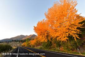 美國 北加州秋天景色 秋楓 秋黃 autumn foliage california 攝影旅者 美國國家公園與世界自助旅行遊記 natural landmarks fall foliage nature