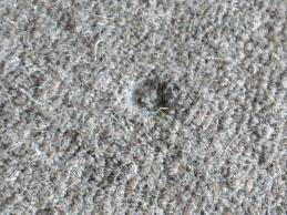 ウールカーペットやラグの家具跡を元どおりに復元する方法 | HOTTA CARPET さん