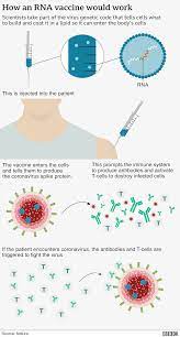 Serious and unexpected side effects may occur. Moderna Covid Vaccine Shows Nearly 95 Protection Bbc News