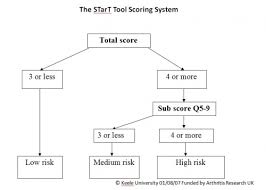 Image result for Start Back Screening Tool