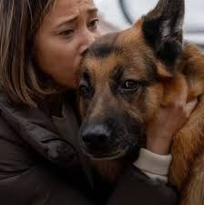 OK, FURS FANS, ~QUESTION TIME~ Where do you rank the FURS song "Heaven"  from their 1984 "Mirror Moves" album?