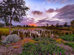 Visit our online store to place an order for same day delivery in the area. Location Almond Grove Munno Para