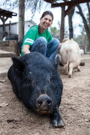 We did not find results for: This Little Piggy Texas Co Op Power