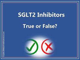 Image result for SGLT2 Inhibitor