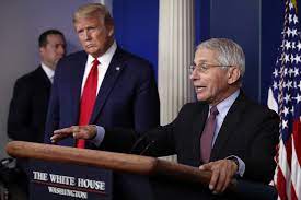 But dr fauci, who clashed with mr. Trump Threatens To Fire Fauci In Rift With Disease Expert
