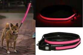 The 25 Best Led Dog Leashes Of 2020 Pet Life Today