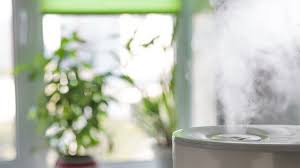 One of them might work for you. Home Remedies For Bronchitis And Other Tips Everyday Health