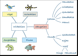As we only have four branches at the top of level 1 we've given level 1 a sibling angle of 90 degrees. Digitale Medien In Der Biologie Unterrichtsidee