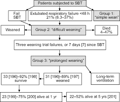 Weaning From Mechanical Ventilation European Respiratory