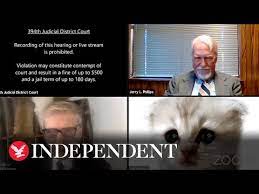 Lawyer Assures Judge He Isn T A Cat After Zoom Filter Faux Pas Youtube