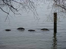 We did not find results for: The Ogopogo Lake Monster Mysteries Unexplained