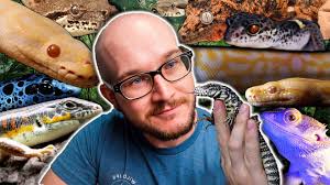 My favorite reptile enclosure to create