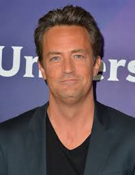 Filmographie de Matthew Perry