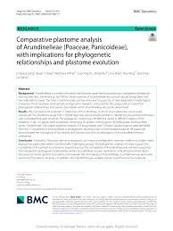 Image result for Elytrophorus globularis