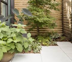 Low Maintenance Garden Ideas Garden Design Ideas Low Maintenance If you don't have enough time to groom your front yard all year round, you can. low maintenance garden ideas garden